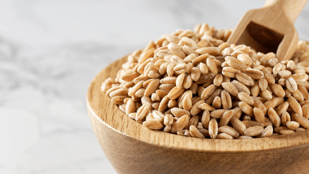 ancient grains, Add These 5 Ancient Grains To Your Diet For The Best Health!, Dr. Nicolle