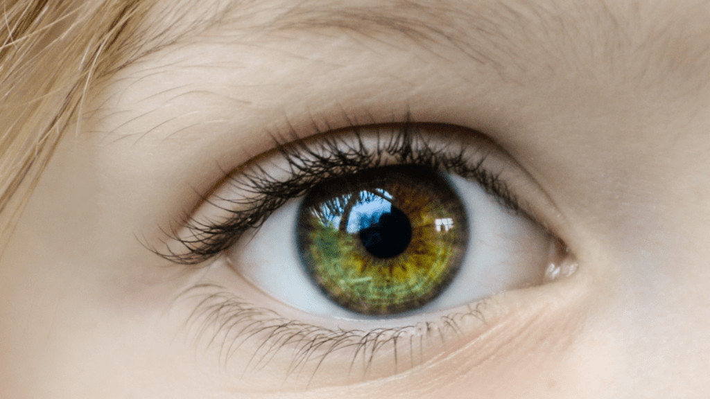 retinal detachment, Learn About Retinal Detachment and Save Your Vision, Dr. Nicolle